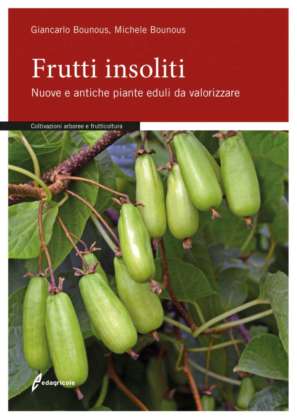 frutti insoliti
