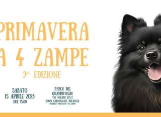 primavera a 4 zampe