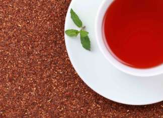 rooibos