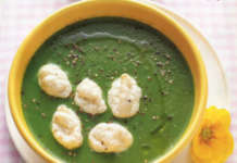 vellutata di ortiche