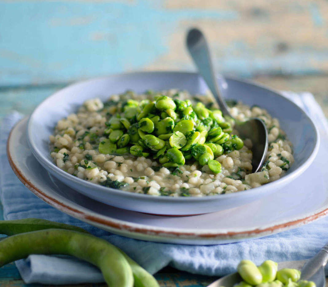 orzo