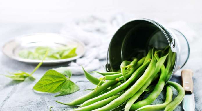 Un’estate al verde!