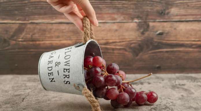 Ricominciamo! I nostri 5 consigli per ritrovare la linea