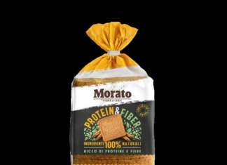 Linea American by Morato morato