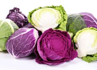 come cucinare il cavolo cappuccio