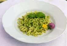 trofie fresche al pesto