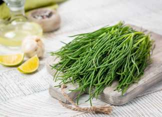 Come conservare la barba di frate: consigli + 2 ricette come conservare la barba di frate