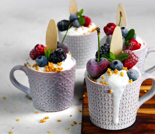 Gelato cocco e frutti di bosco senza gelatiera
