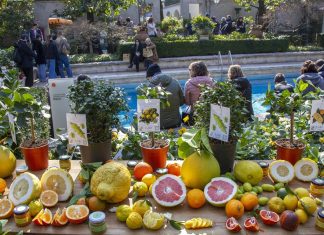 foto inviata ufficio stampa