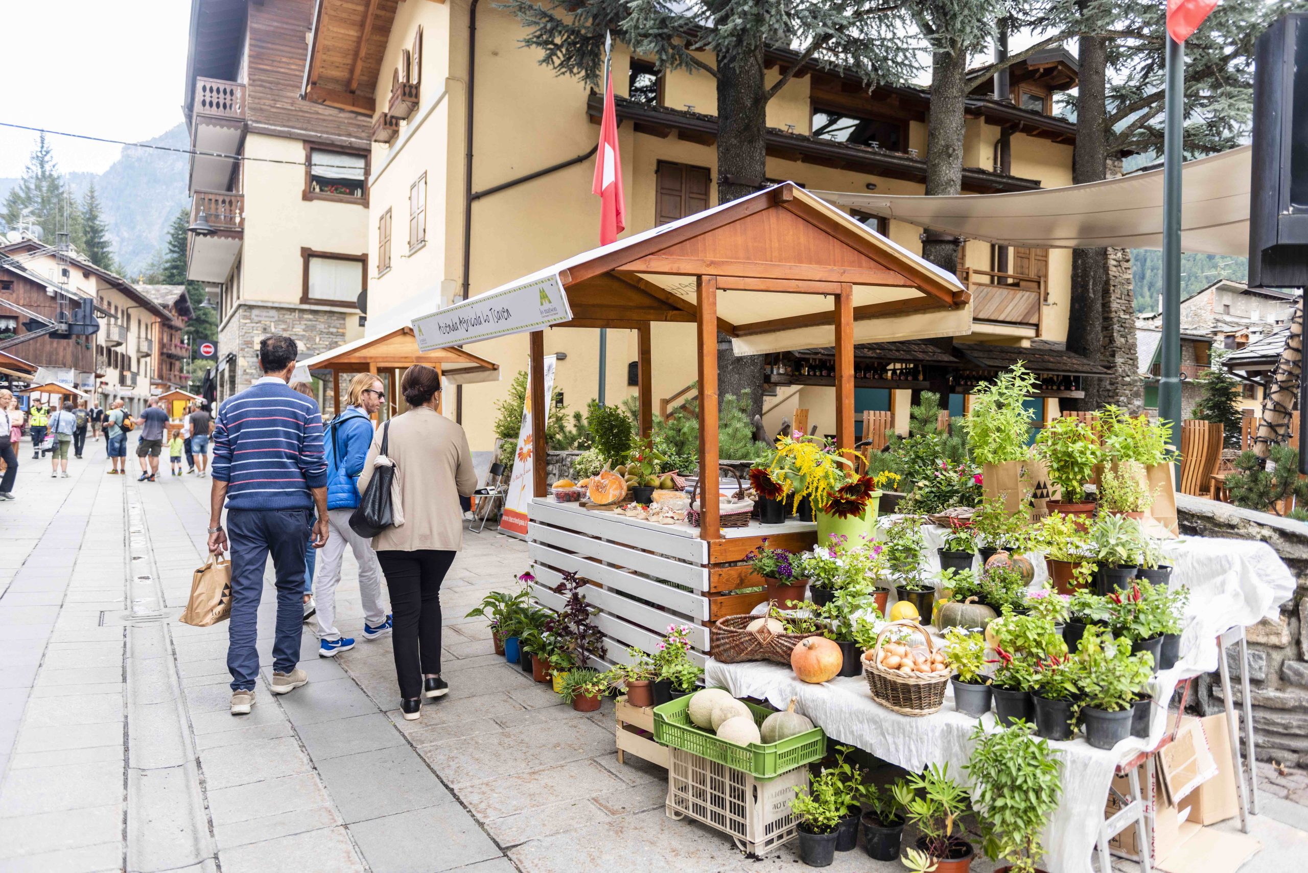 Lo Matsòn 2025 (AO)