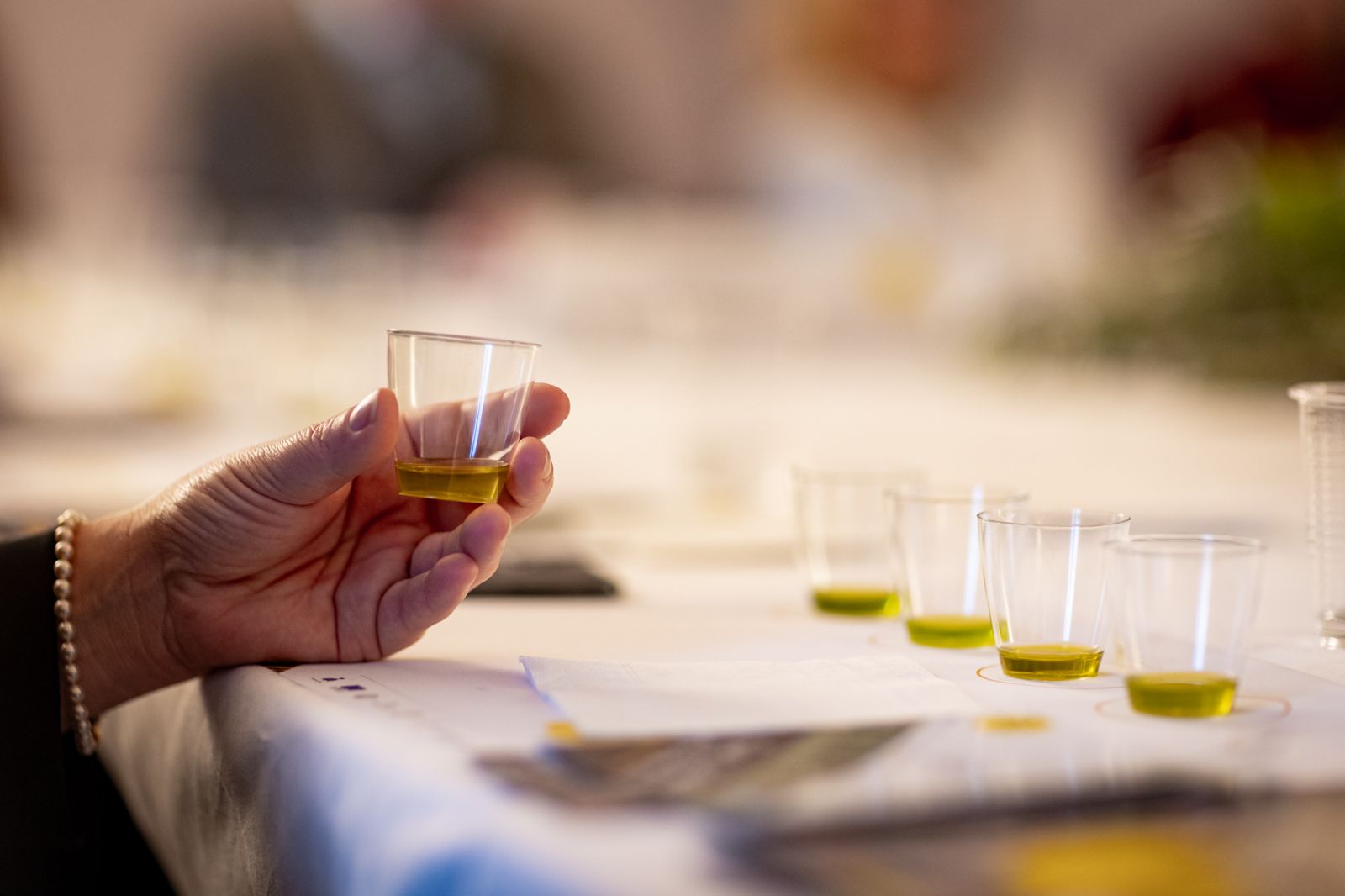 Frantoi Aperti Umbria 2025: olio nuovo, esperienze e sapori da vivere