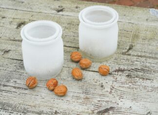 differenza tra prebiotici e probiotici