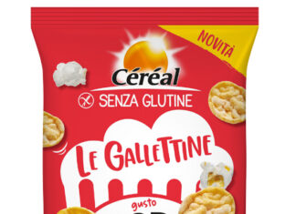 Gallettine Senza Glutine Céréal