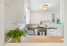 Pulire i fornelli in modo naturale è possibile: come scegliere soluzioni eco Come pulire i fornelli in modo naturale