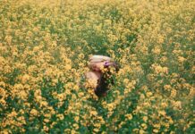 come affrontare la stanchezza di primavera