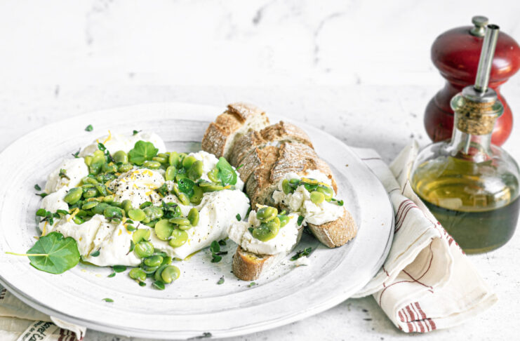 Labneh di capra con fave, origano e limone