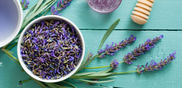 lavanda