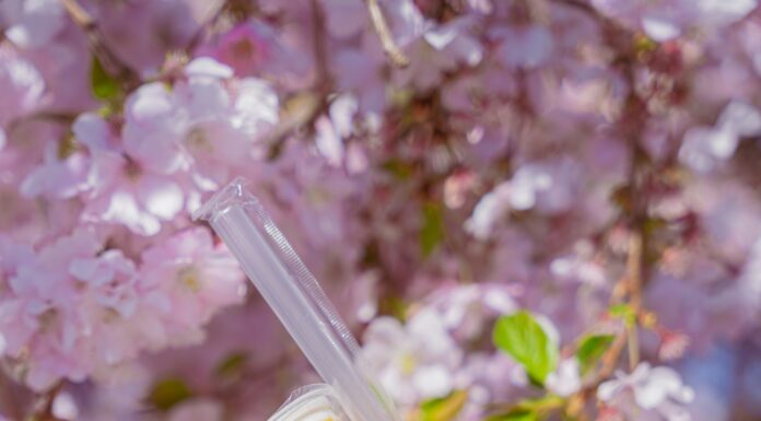 il bubble tea fa male