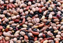 Ecco perché a chi mangia i legumi la pressione non si alza legumi e salute cardiovascolare