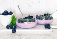 Panna cotta di yogurt greco alle more