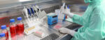 Scientist working with multichannel pipette. Experimental labbor