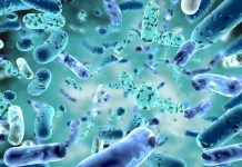 Il potenziale dei dermocosmetici per il microbioma cutaneo Eczema nei bambini, l'effetto preventivo dei probiotici