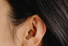 Cellule staminali per la rigenerazione della cartilagine auricolare Cellule staminali per la rigenerazione della cartilagine auricolare