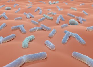 Microbioma cutaneo e network microbici: nuovi biomarcatori per la salute della pelle Microbioma cutaneo e network microbici: nuovi biomarcatori per la salute della pelle