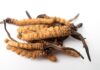 Melasma del viso: Cordyceps come alternativa naturale sicura all’idrochinone Uno studio mostra che l’estratto di questo fungo himalayano può migliorare il melasma con un'efficacia simile all’idrochinone, ma con minori effetti collaterali