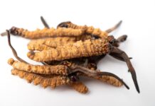 Melasma del viso: Cordyceps come alternativa naturale sicura all’idrochinone Uno studio mostra che l’estratto di questo fungo himalayano può migliorare il melasma con un'efficacia simile all’idrochinone, ma con minori effetti collaterali