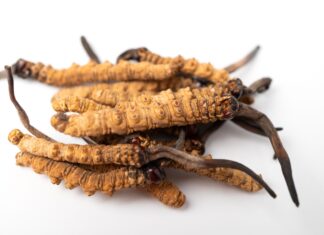 Melasma del viso: Cordyceps come alternativa naturale sicura all’idrochinone Uno studio mostra che l’estratto di questo fungo himalayano può migliorare il melasma con un'efficacia simile all’idrochinone, ma con minori effetti collaterali