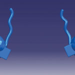 fig_02