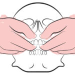 odontoiatria-e-osteopatia_
