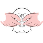 odontoiatria-e-osteopatia_