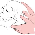 odontoiatria-e-osteopatia_4