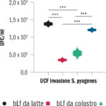 Fig. 7A Unità formanti colonie (UFC)/ml (A) e percentuale (B) di invasione di Streptococcus pyogenes nella linea cellulare human primary gingival fibroblast (hPGF) in assenza e presenza della bLf da latte (mbLf), bLf da colostro (cbLf), e del colostro alla concentrazione di lattoferrina di 100 µg/ml. Percentuale di attività anti-invasiva di mbLf, cbLf, e colostro alla concentrazione di lattoferrina di 100 µg/ml nei confronti di S. pyogenes nella linea cellulare hPGF (C). I risultati sono espressi come media ± deviazione standard (DS) di due esperimenti indipendenti. La significatività statistica è indicata come segue: ***: p < 0,001.