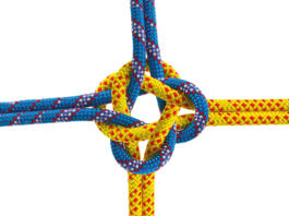 La standardizzazione dei flussi di lavoro nello studio dentistico moderno