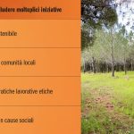 Tab. 1, fig. 1 Il terreno agricolo nella Nurra di Sassari nel quale lo Studio Massaiu si è preso cura di piantare e accudire circa 1400 piante.