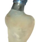 Fig. 9D Quattro delle sei scansioni intraorali (scansione dei tessuti molli, scansione del morso, scansione dello scan body e scansione extraorale della protesi provvisoria) del protocollo copy paste per una protesi implantare.