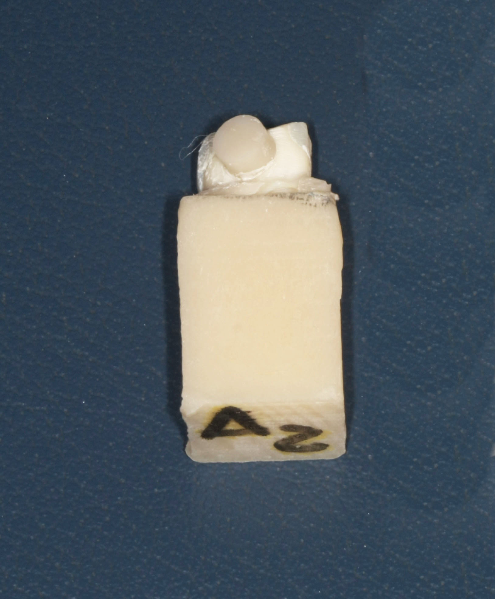 Fig. 12 Campione A.