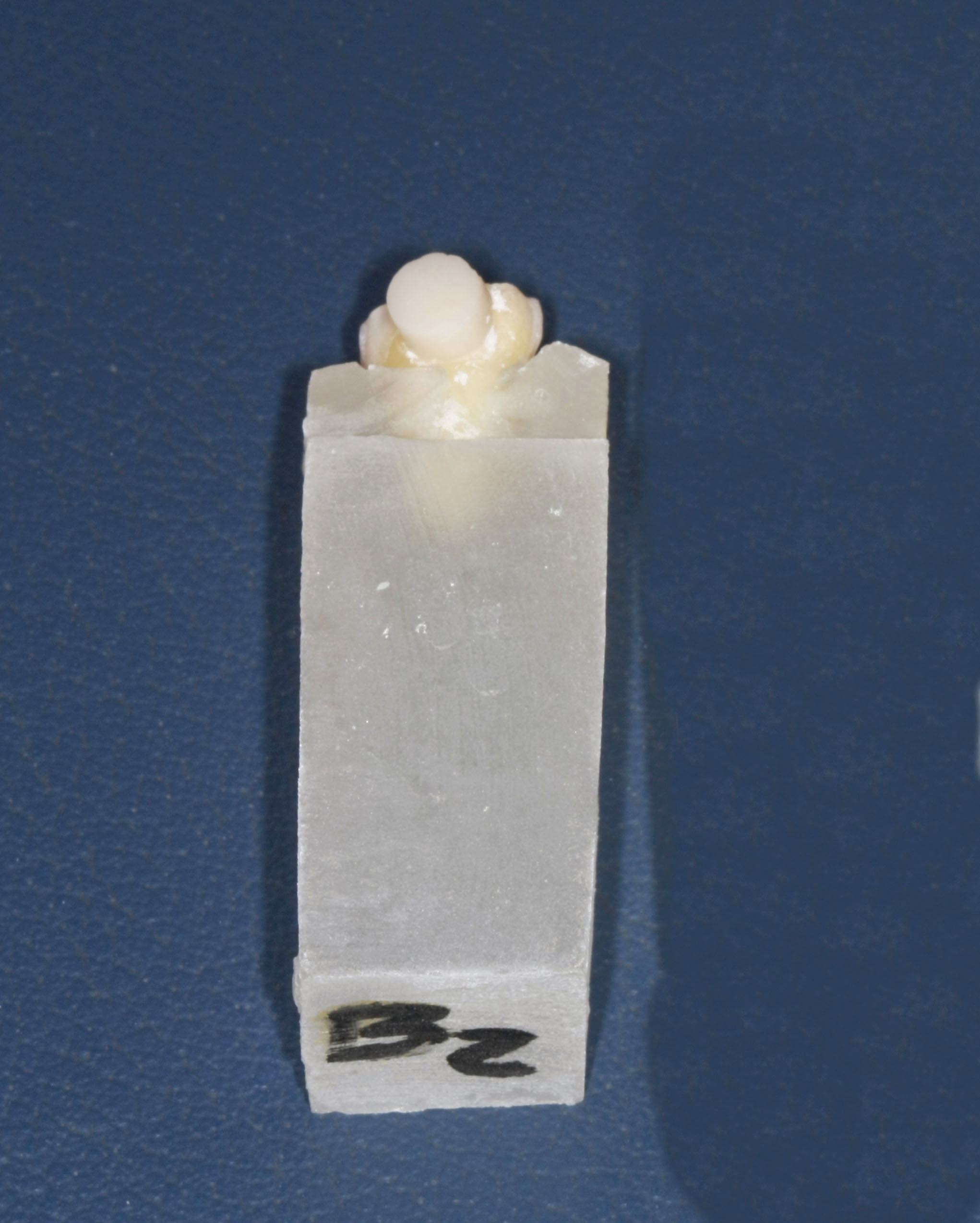 Fig. 14 Campione B.