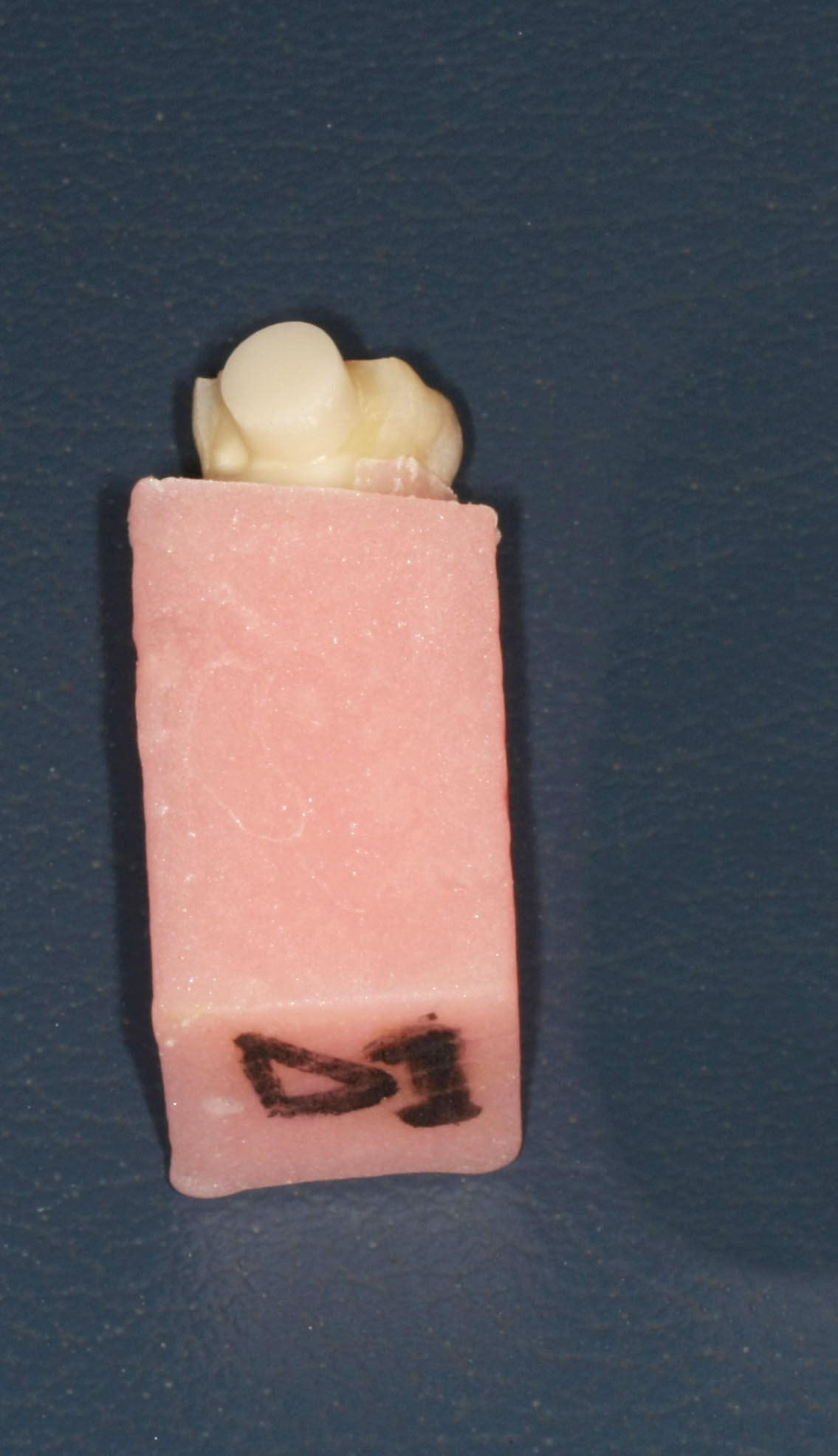 Fig. 18 Campione D.