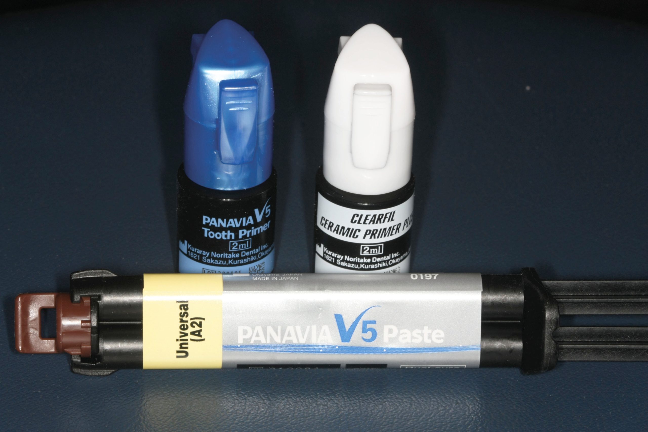 Fig. 19 PanaviaTM V5.