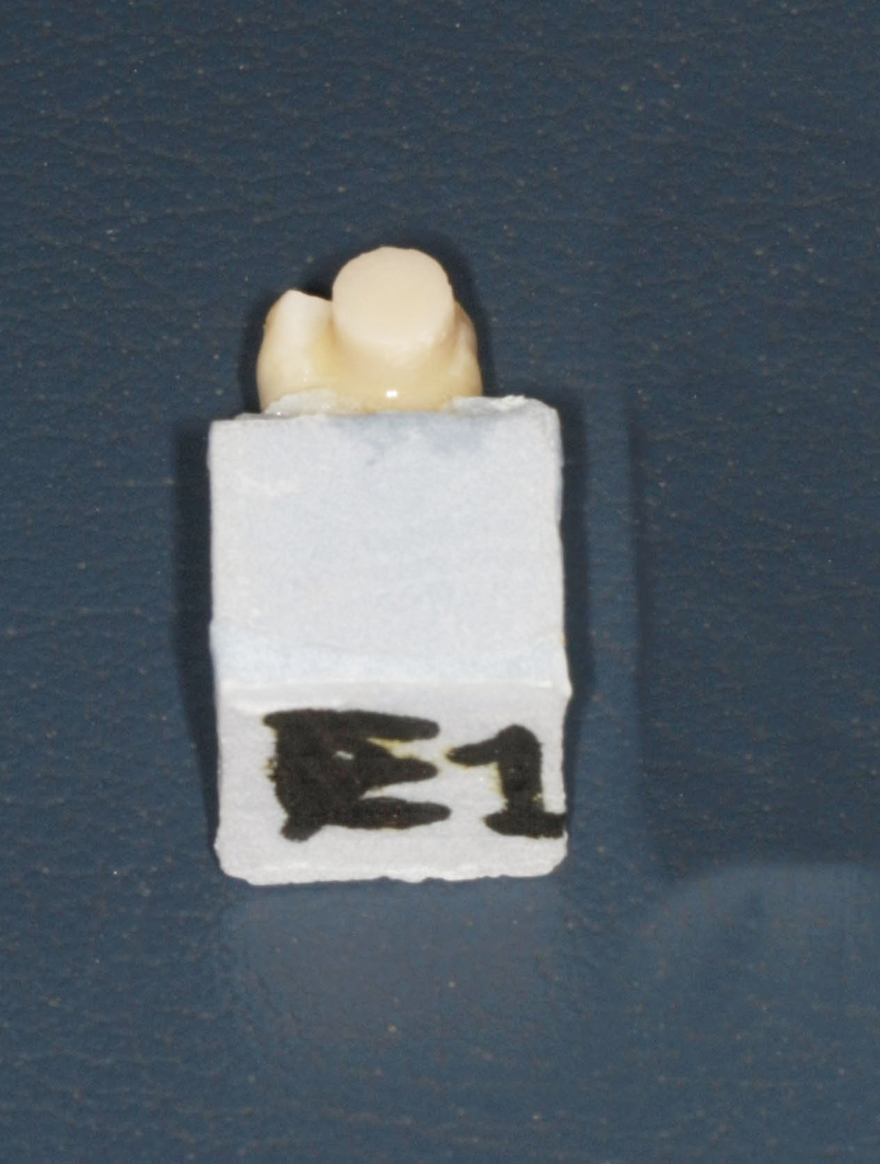 Fig. 25 Campione E