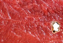 L’odontoiatria e le reazioni avverse a farmaci associate a disturbi delle ghiandole salivari e alterazioni della funzione gustativa