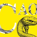 CAO: la mia visione e il mio impegno per la professione