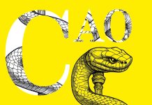CAO: la mia visione e il mio impegno per la professione