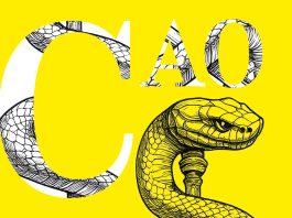 CAO: la mia visione e il mio impegno per la professione