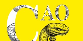 CAO: la mia visione e il mio impegno per la professione