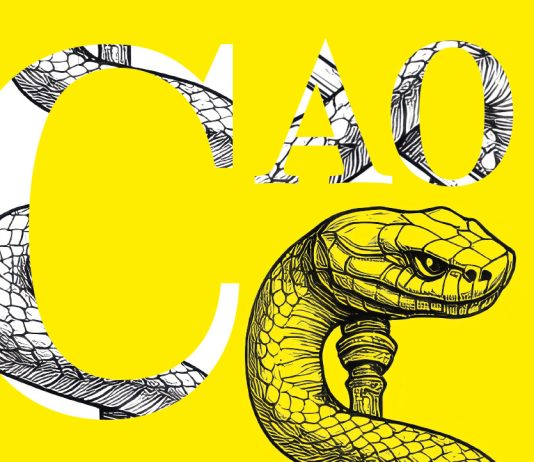 CAO: la mia visione e il mio impegno per la professione